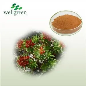 Rhodiola Rosea -uute